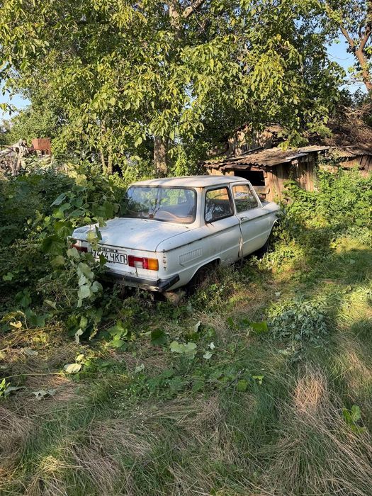 заз 968 – Купити ЗАЗ Черкаська область – Ціна на OLX.ua