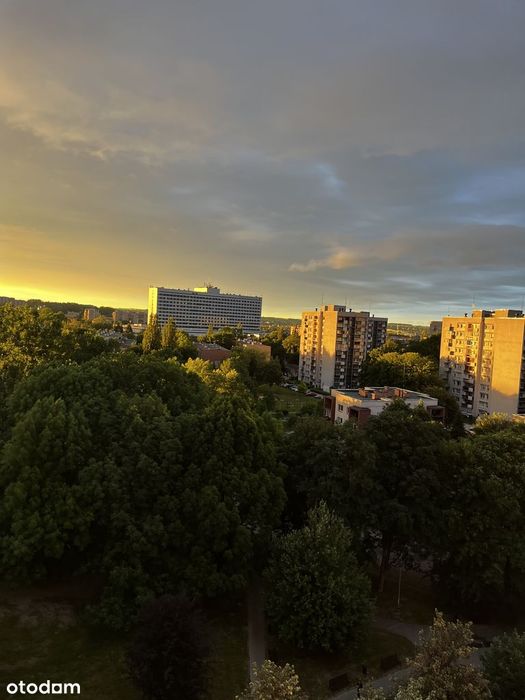 Zdjęcie 6