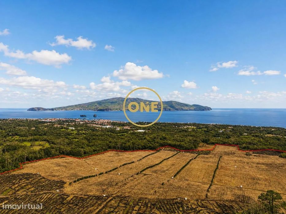 Terreno com Vinha à Venda na Ilha do Pico