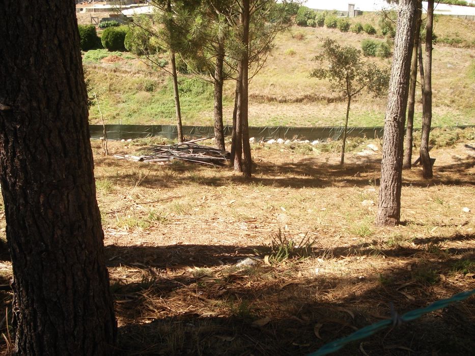 ALUGO Terreno em Pigeiros - Santa Maria da Feira