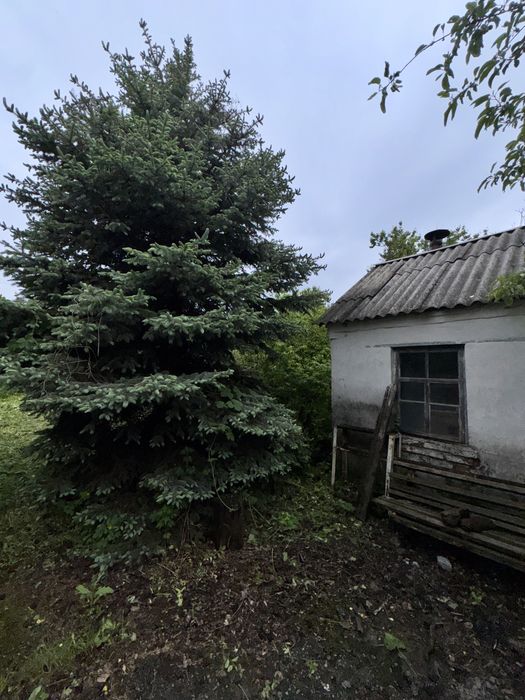 Продаж будинку з великою земельною ділянкою у Музичах