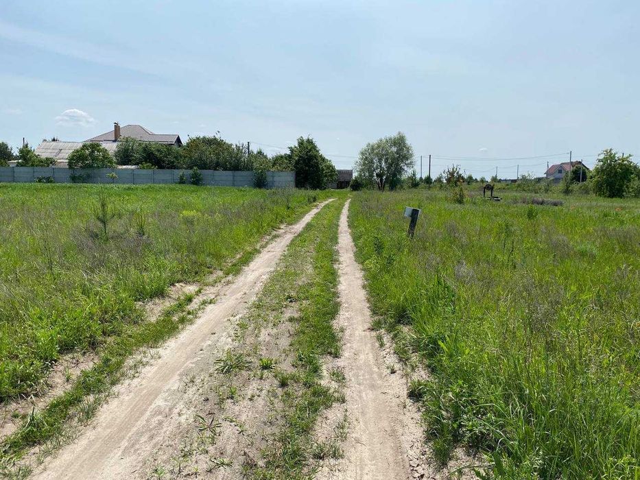 Продаж земельної ділянки, з молодими соснами, 20 хв до Києва