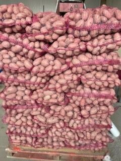 Red lady czerwone ziemniaki