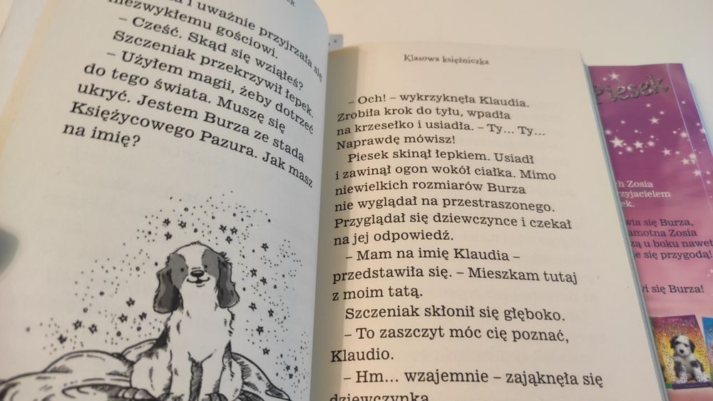 Mały piesek szuka przyjaźń książki dla dzieci psy Sue Bentley zestaw
