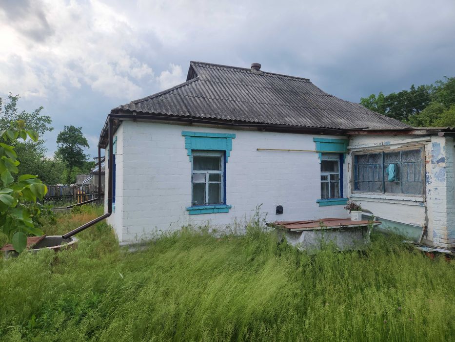 Будинок в селі Андріївка