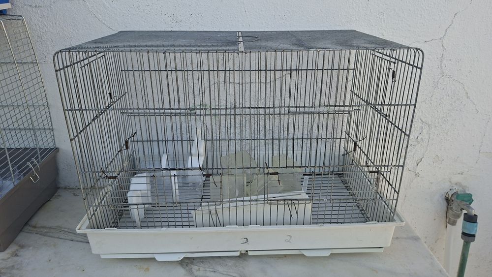 Gaiolas para Aves