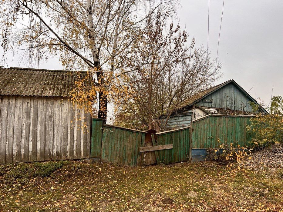 ТЕРМІНОВО Будинок с.Чорногородка, Київська область