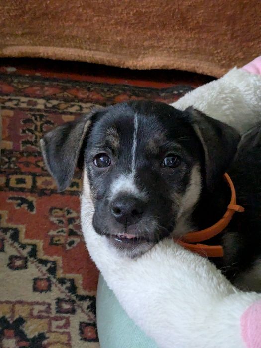 Возьмите ребенка в семью