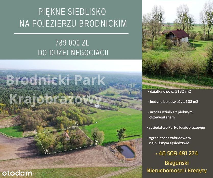 Natura, cisza, kameralność, śpiew ptaków