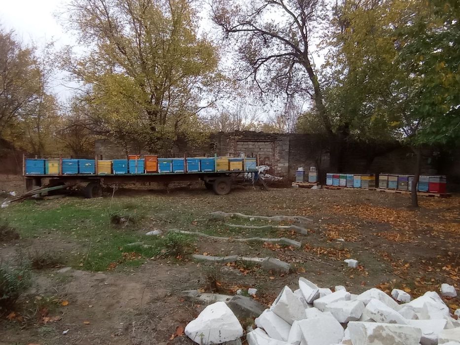 Продам прицеп для пчел ,причіп для бджіл