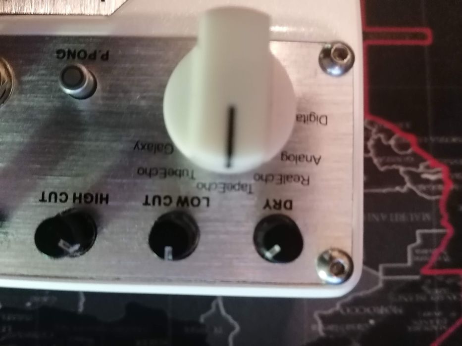 Mooer Reecho Pro Digital Delay Pedal