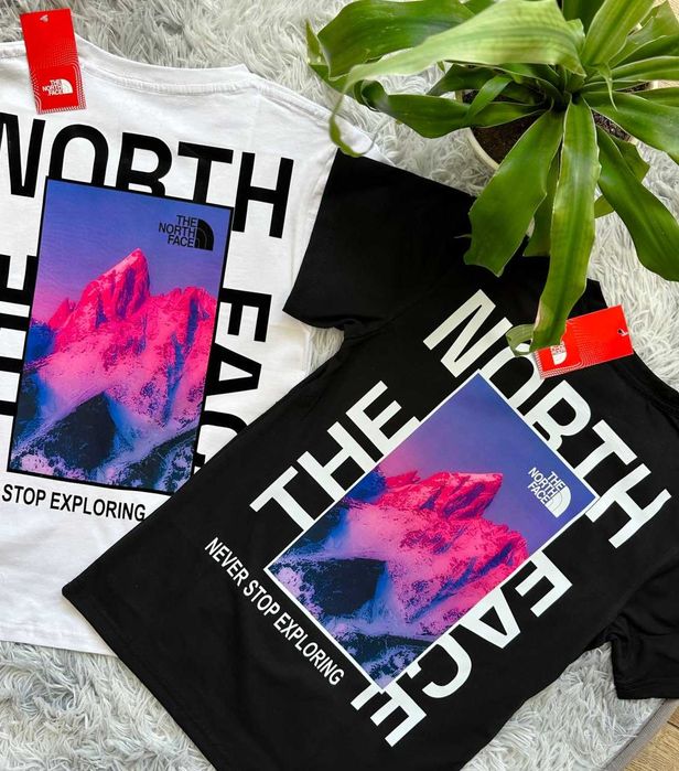 TNF // Футболка THE NORTH FACE Kyiv // Большой Принт Киев ТНФ