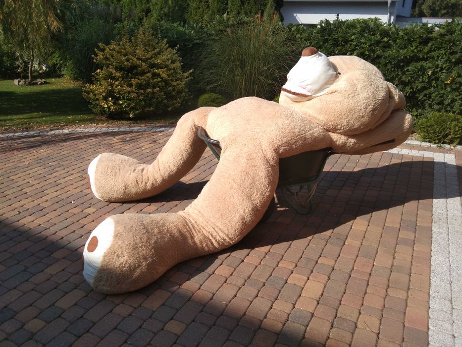 Olbrzymi miś pluszowy 2,5m