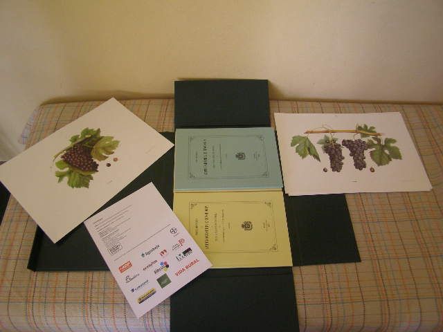 Ampelographia e Oenologia do Paiz Vinhateiro do Douro