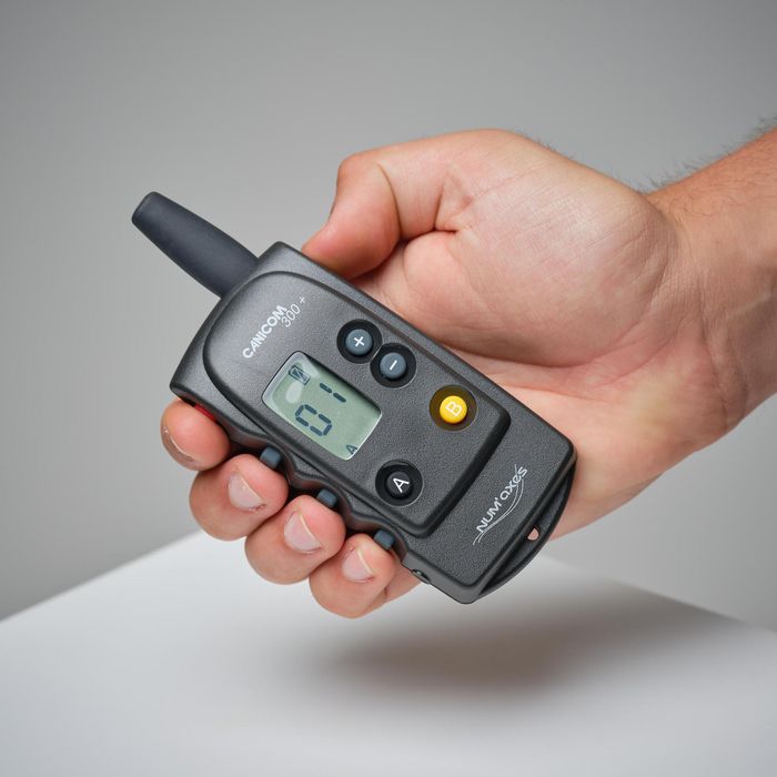 Coleira Telecomando de Adestramento para Cão Canicom 300 (Conjunto)