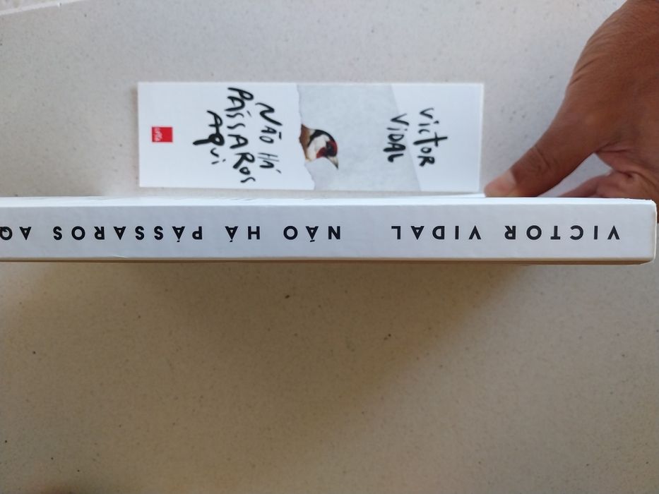 Livro " Não há pássaros aqui" de Victor Vidal