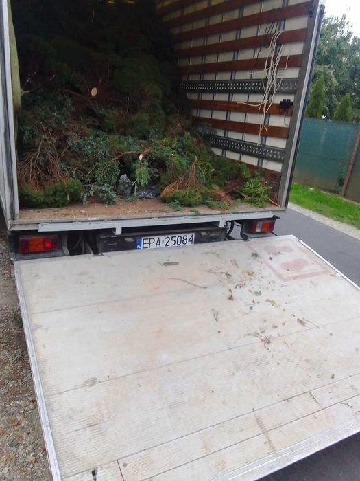 Przeprowadzki  -  Transport