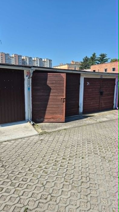 Zdjęcie 8