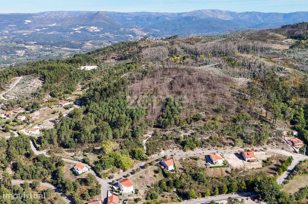 Terreno rústico de vocação florestal com 20.000 m²
