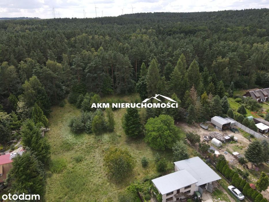 Działka  niedaleko Gniewu - Widok 4