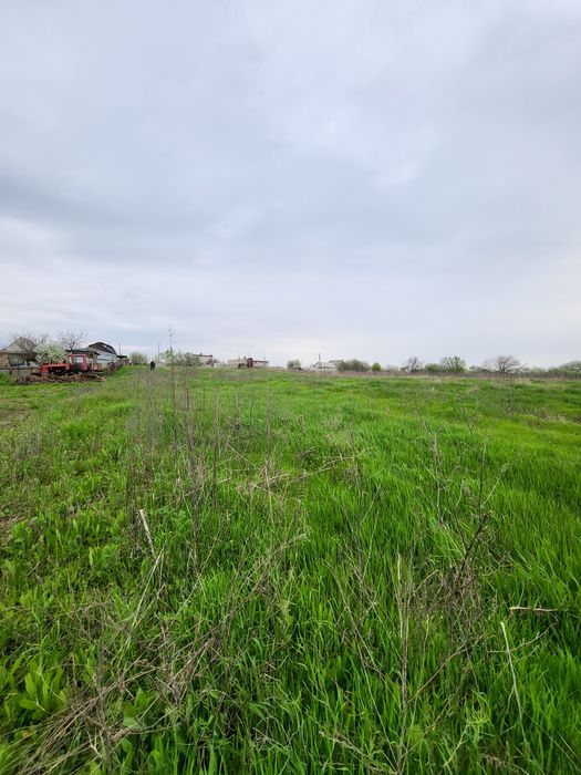 Продажа участка Рогозов. 25 соток!