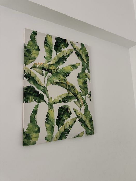Telas 50x60cm decoracao