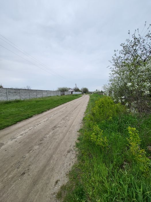 Продажа участка Рогозов. 25 соток!