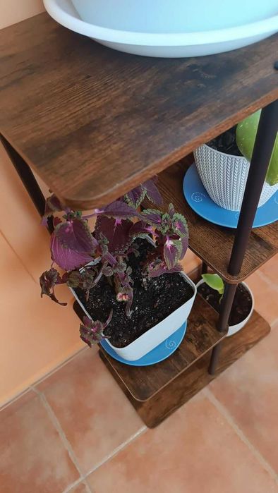 Kwietnik stojak na kwiaty drewniany narożny z 4 poziomami 78 cm