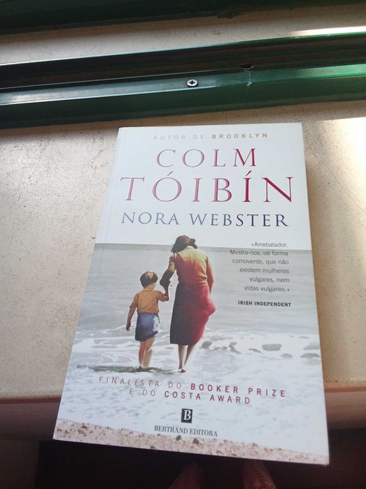 Nora Webster de Colm Toibin