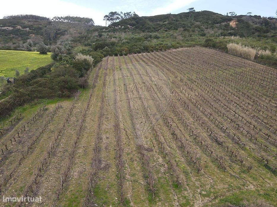 Terreno  para venda