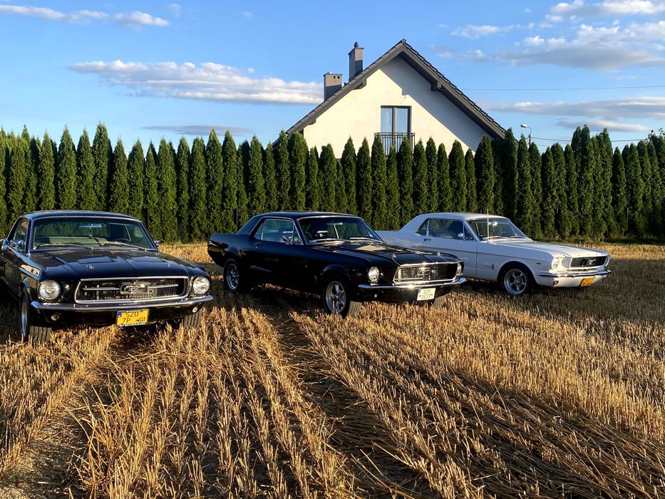 Ford Mustang 1966/67/68 do ślubu – TY PROWADZISZ – RASCAR.PL