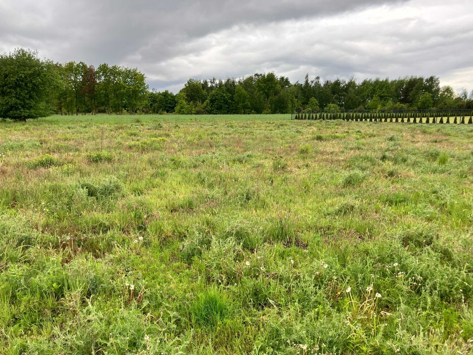 Działka ok. 900 m2 z warunkami zabudowy
