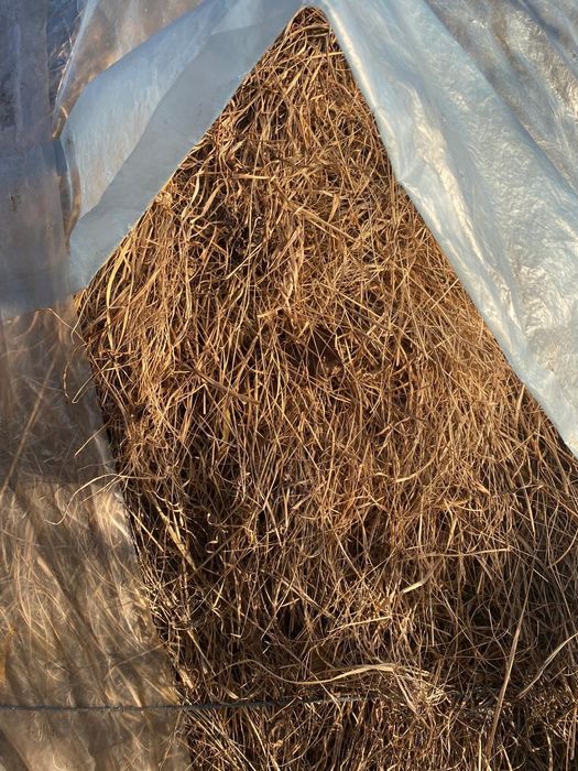 Продам сіно, солома
