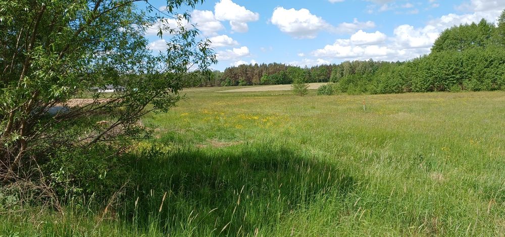 Działka 1000m Skrybicze warunki zabudowy