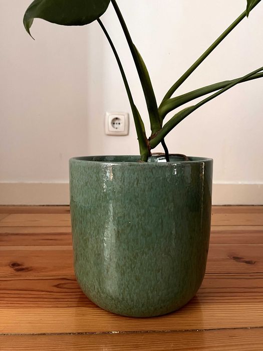 Planta Monstera + Vaso Horto do Campo – 45€/Monstera Plant + Horto do Campo Pot – €45