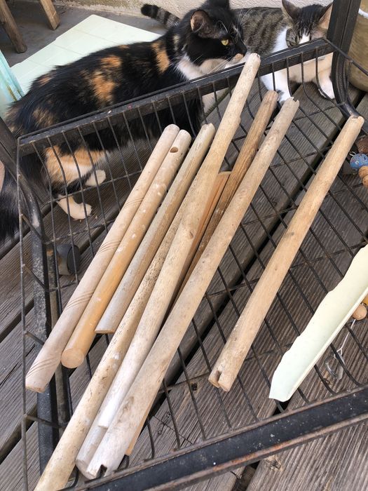 Gaiola grande para pássaros/papagaio