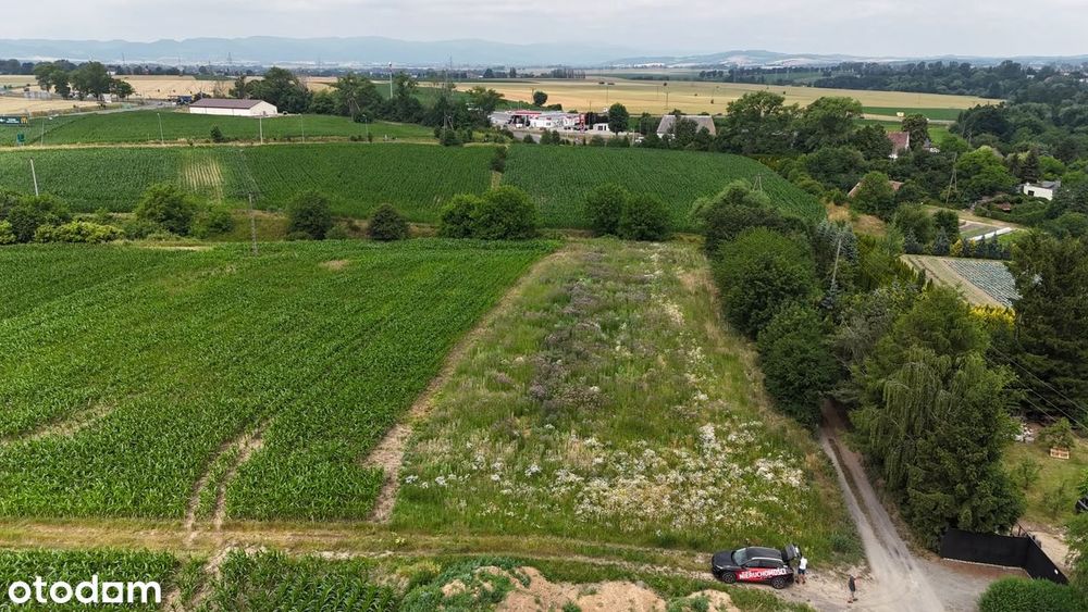Działki Inwestycyjne Na Sprzedaż – Ząbkowice Śląskie