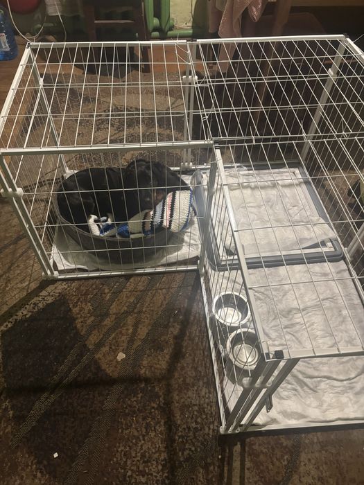 Вольєр для собак (металевий, розборний, міцний)