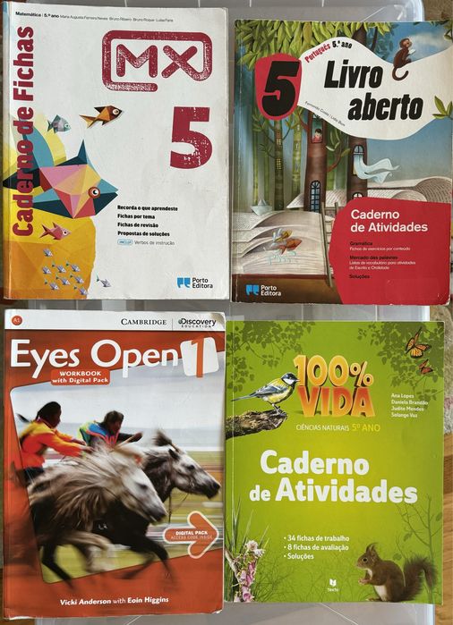 Cadernos fichas/atividades 5.Ano