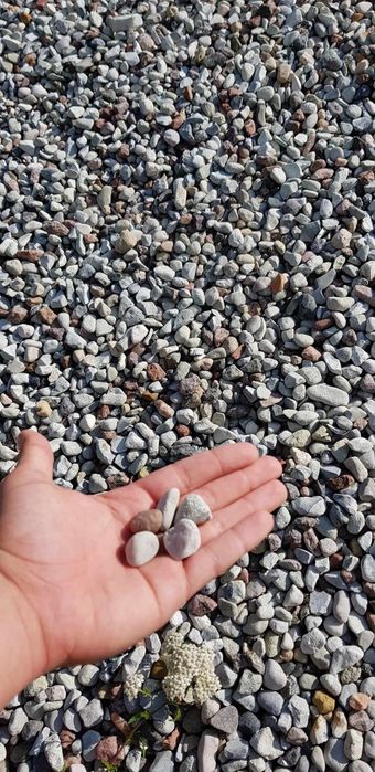 Piasek-Żwir-Kanień-Łamany-Otoczaki-Tłuczeń-Czarnoziem-Grys