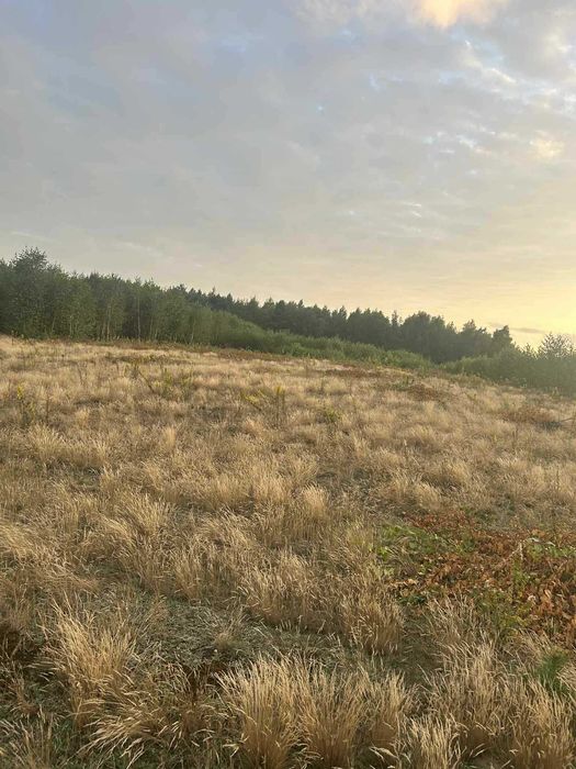 Działka budowlana 135000zl - Widok 2