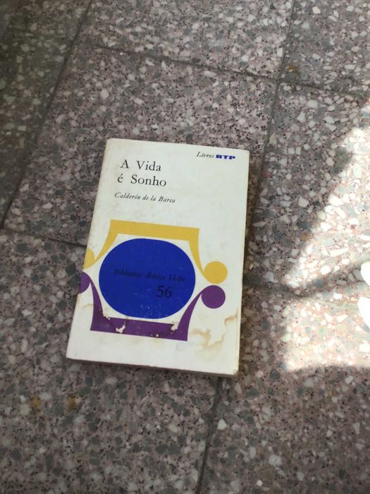 livro a vida e um sonho
