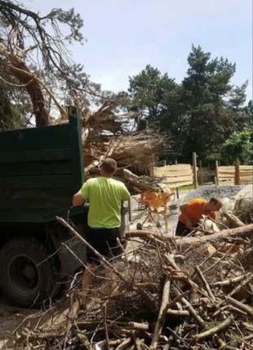 Расчистим участок/Уборка территории/Вывоз