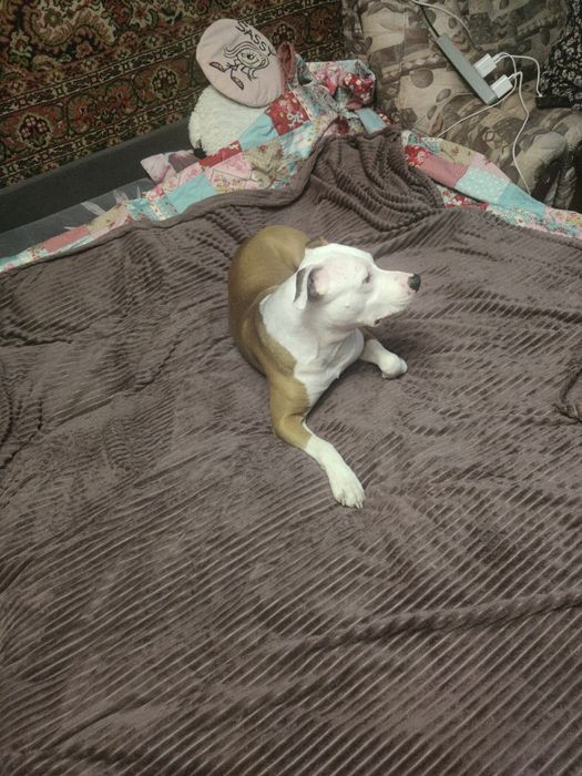 Вязка для здоровья