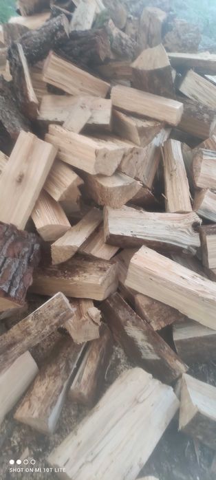 Lenha seca de pinho 30€ metro cúbico