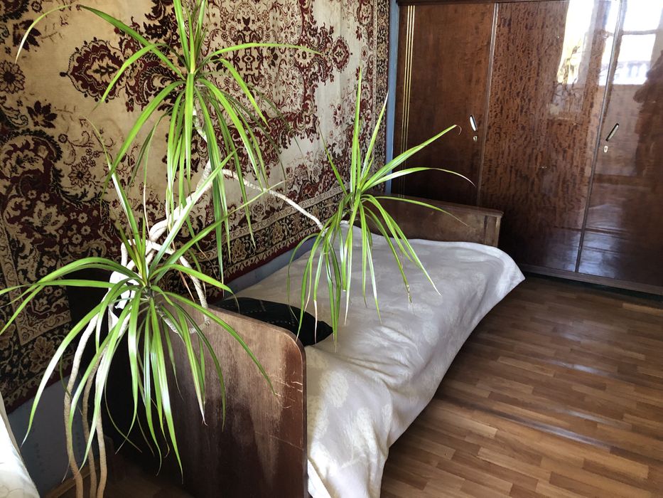 Оренда 3 квартира Березняки Дніпровський Лівобережна