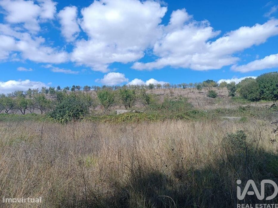 Terreno Agrícola em Azinhoso de 2874,00 m2