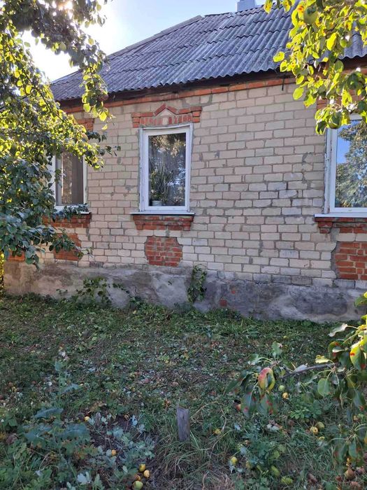 Продам будинок Солоницівка