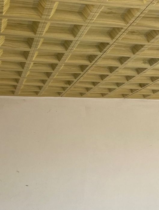 Teto Falso Decorativo Em Plástico Para Área De 26,5 m²