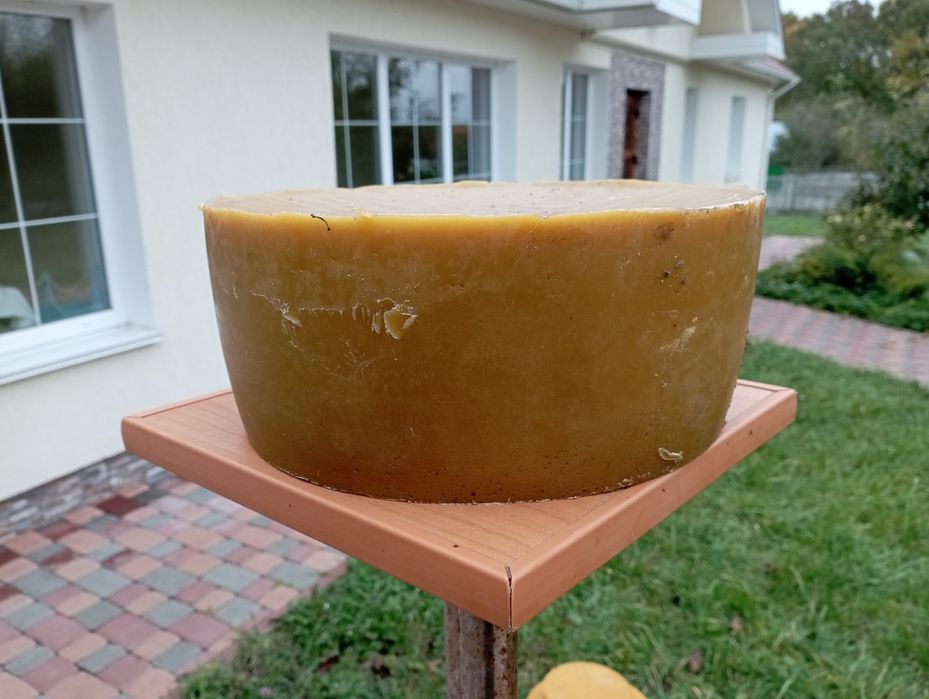 Продам віск бджолиний